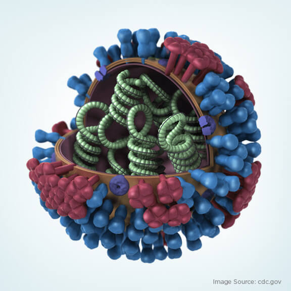 3D_Influenza_transparent_key_pieslice_med2