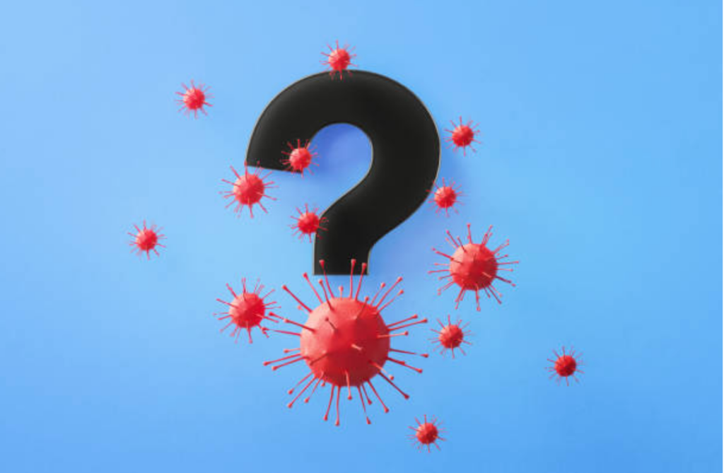 Screen-Shot-2020-09-15-at-11.49.06-AM