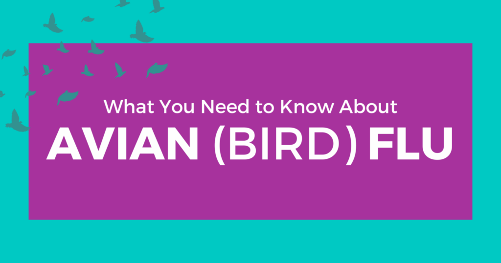 avian-flu-header-image