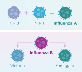 fff_influenza_AandB-graphic