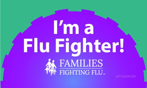 KF1100M-SP_FluFighter_Sticker