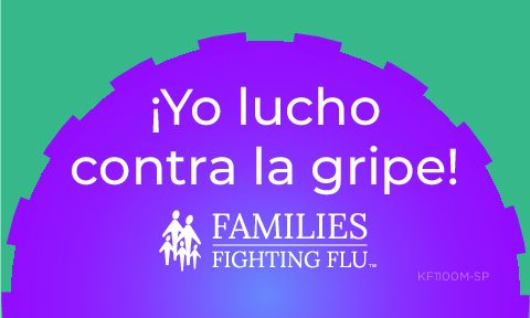 KF1100M-SP_FluFighter_Sticker_ES_24